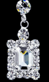 #16921 - Framed Octagon Drop Earrings