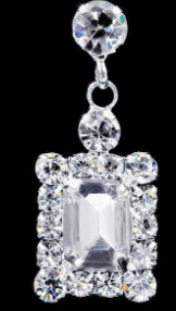 #16921 - Framed Octagon Drop Earrings