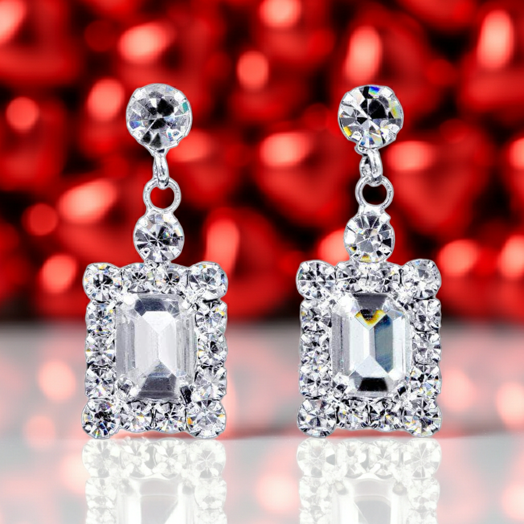 #16921 - Framed Octagon Drop Earrings