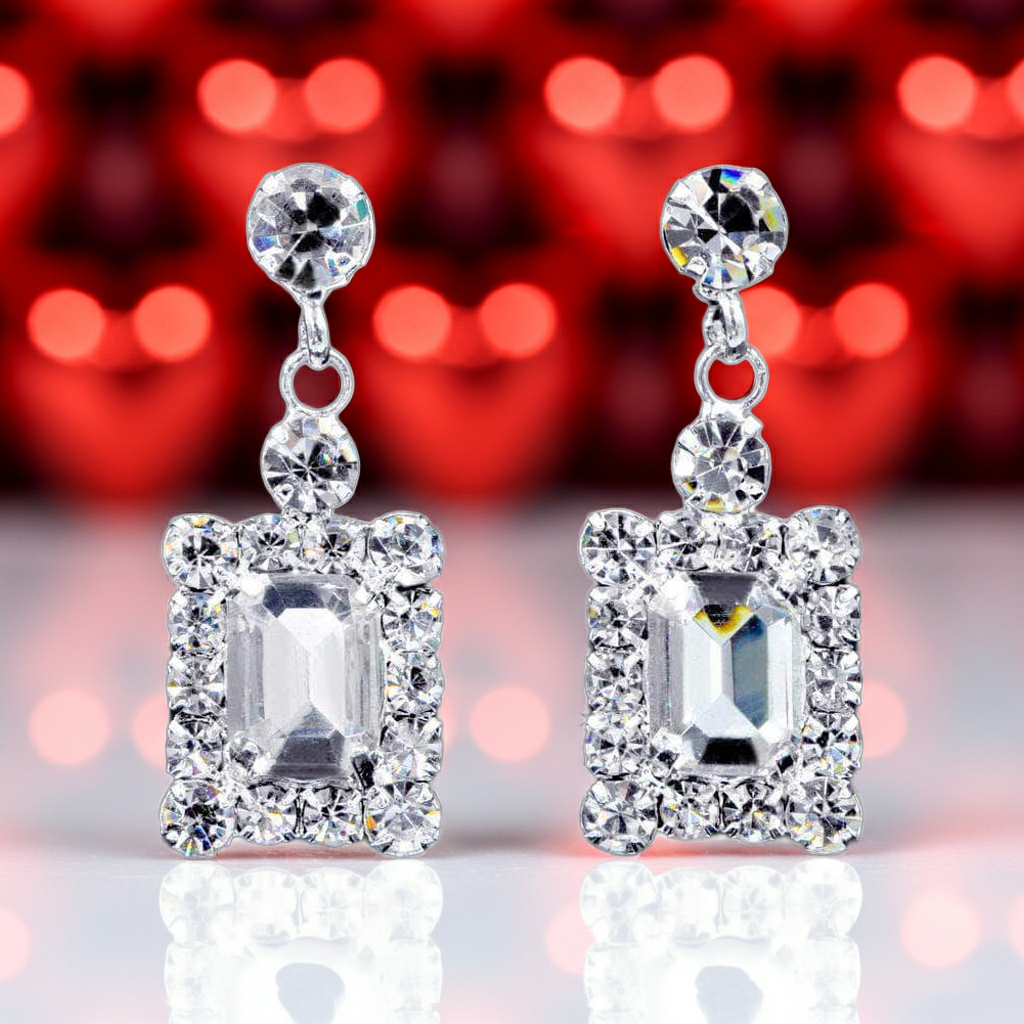 #16921 - Framed Octagon Drop Earrings